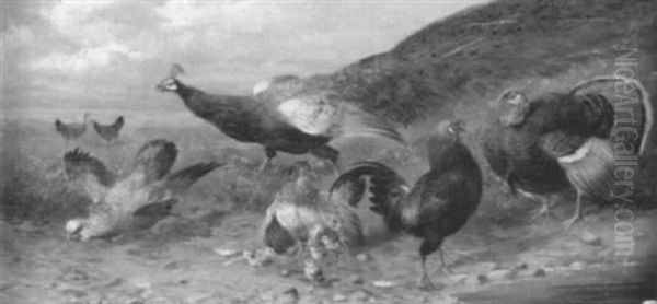 Huhneridylle, Die Durch Pfau Und Truthahn Gestort Wird Oil Painting by Max Josef Haenger Sr.