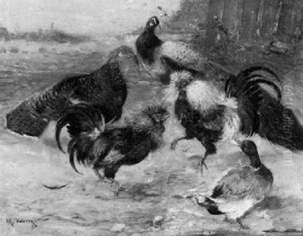Kampfende Hahne Im Hof Zwischen Pfau, Truthahn Und Erpel Oil Painting by Max Josef Haenger Sr.