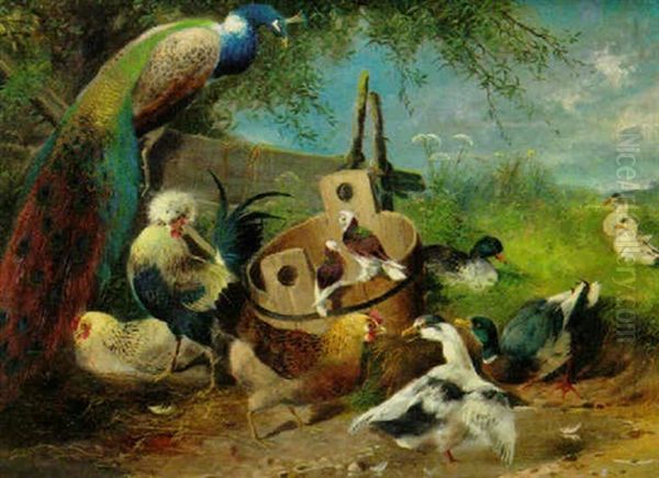 A Peacock With Hens, Ducks And Geese Oil Painting by Max Josef Haenger Sr.