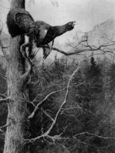 Balzender Auerhahn Auf Ast Vor Dem Gebirge Oil Painting by Max Josef Haenger Sr.