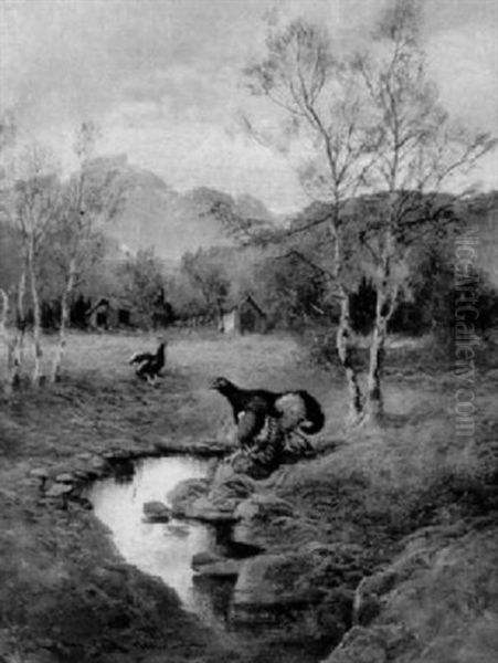 Karge Voralpenlandschaft Mit Balzendem Birkhahn Und Henne Am Bachlauf Oil Painting by Max Josef Haenger Sr.
