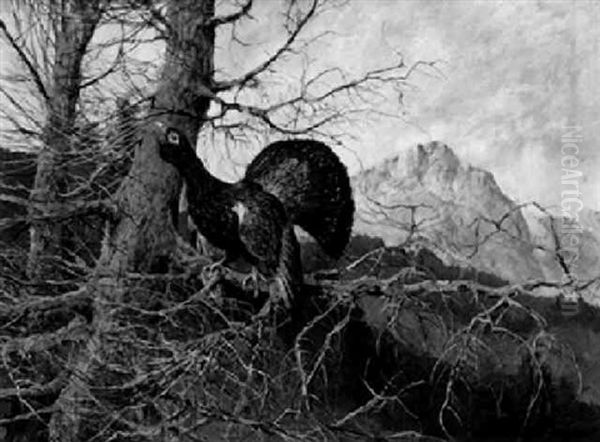 Balzender Auerhahn Oil Painting by Max Josef Haenger Sr.