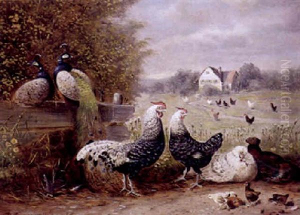 Idylle Af Dem Land Mit Pfauenpaar, Huhnern Und Kuken Oil Painting by Max Josef Haenger Sr.