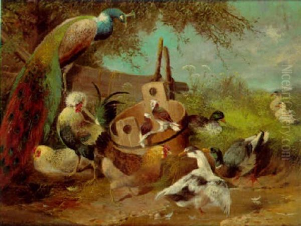 Federvieh Oil Painting by Max Josef Haenger Sr.