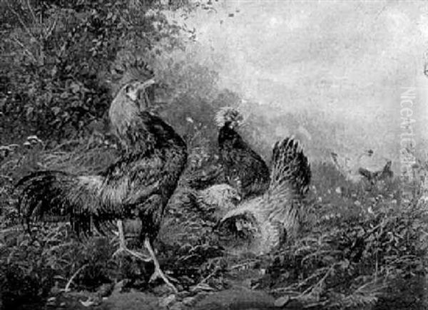 Hahn Mit Hennen Oil Painting by Max Josef Haenger Sr.