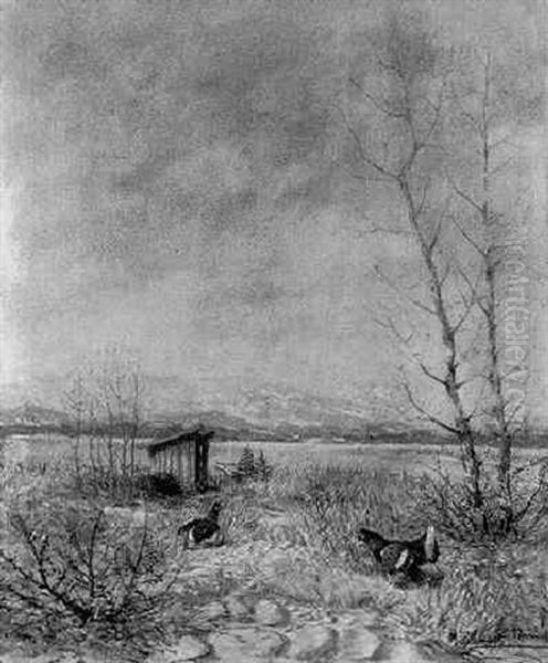 Kampfende Birkhahne In Oberbayrischer Seenlandschaft Oil Painting by Max Josef Haenger Sr.