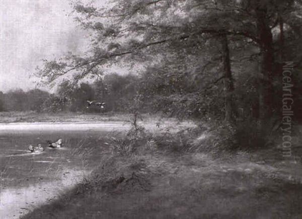 Herbst Am Stillen Waldweiher, Vorn Enten Oil Painting by Max Josef Haenger Sr.