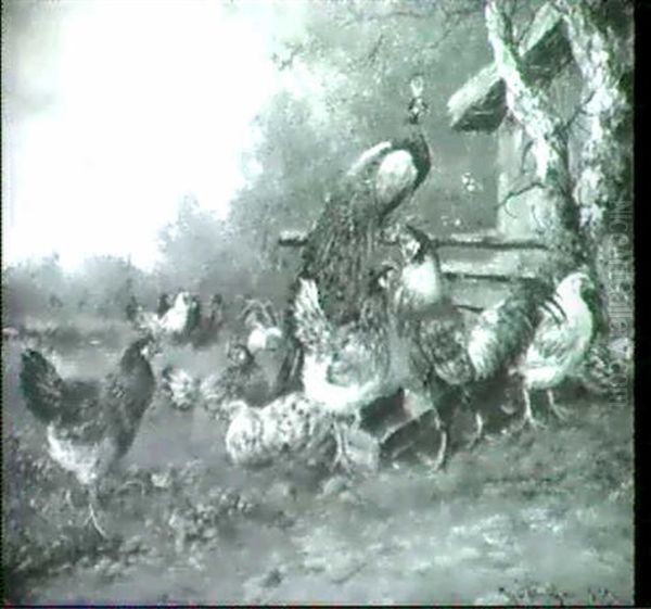 Hahn, Huhner Und Pfau Oil Painting by Max Josef Haenger Sr.