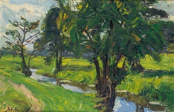Flusslandschaft Oil Painting by Johannes Haensch