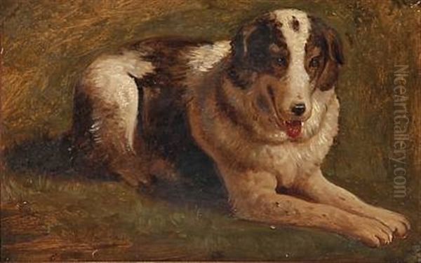 En Hyrdehund Fra Paestum Oil Painting by Constantin Hansen