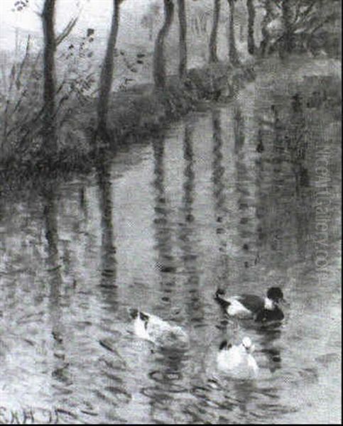 Enten Am Weiher Oil Painting by Elise Konstantin Hansen