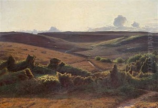 View Of A Moor Landscape In The Afternoon Oil Painting by Sigvard Hansen
