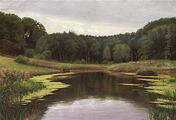 Traeer Ved En Skovso Oil Painting by Sigvard Hansen