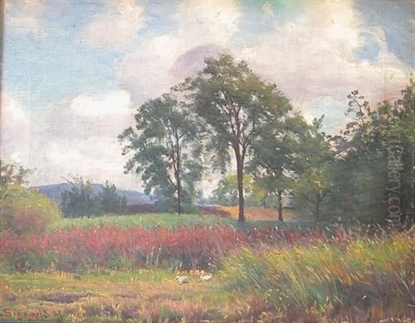 Landscape With Meadow And Ducks, Trees In Background, Hills In Far Distance Oil Painting by Sigvard Hansen
