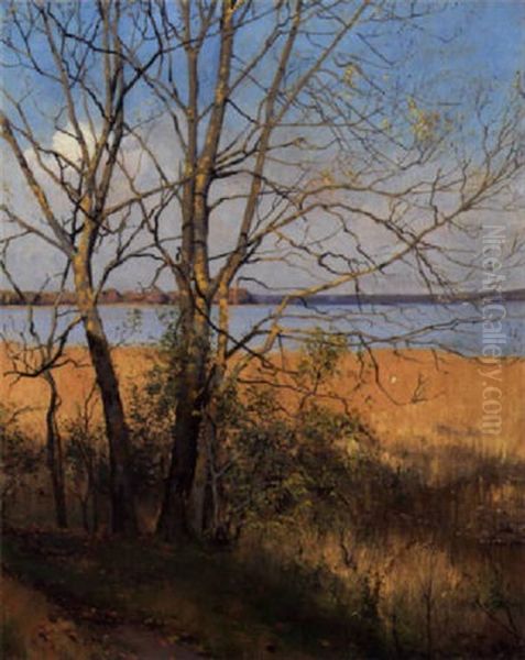 Nogne Traeer Ved Kysten I Klart Forarslys Oil Painting by Sigvard Hansen