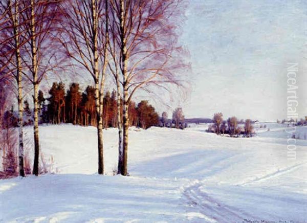 Birke, Aftensol Oil Painting by Sigvard Hansen