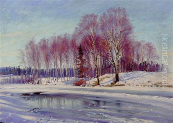 Vinterlandskab Med En Gruppe Birketraeer Ved Elven Oil Painting by Sigvard Hansen