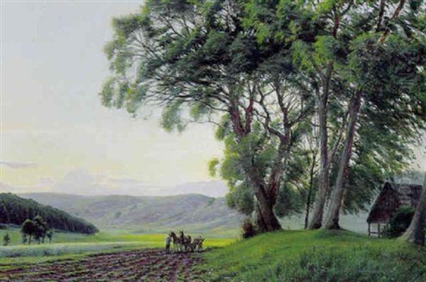 Parti Fra Mols Bjerge Ved Solnedgangstide Oil Painting by Sigvard Hansen