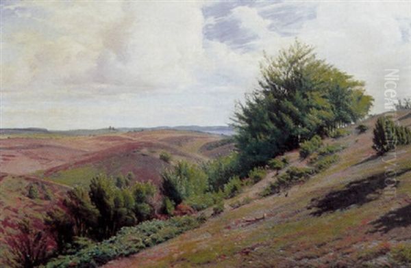 Landskab Med Lyngklaedte Bakker Oil Painting by Sigvard Hansen