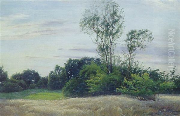 Septembereftermiddag, Skovene Ved Fredriksholm Oil Painting by Sigvard Hansen