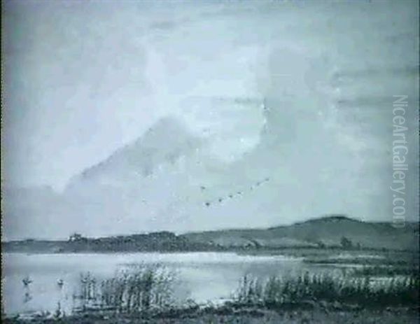 Landskab Med So Og Traekfugle Oil Painting by Sigvard Hansen