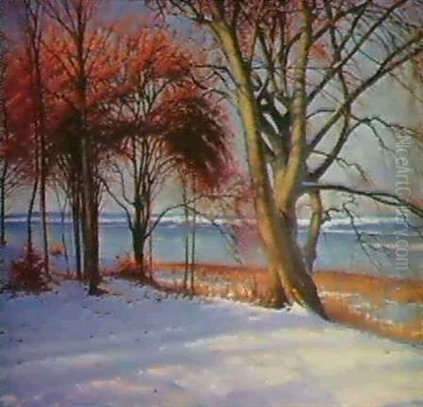 Vinterdag Vid Fureson,danmark Oil Painting by Sigvard Hansen