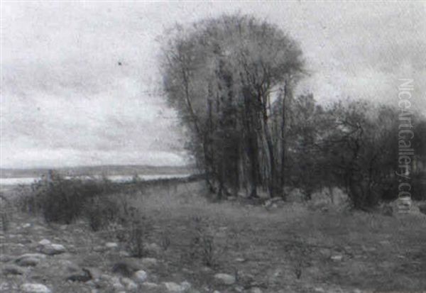 Herbstliche Uferlandschaft Oil Painting by Sigvard Hansen