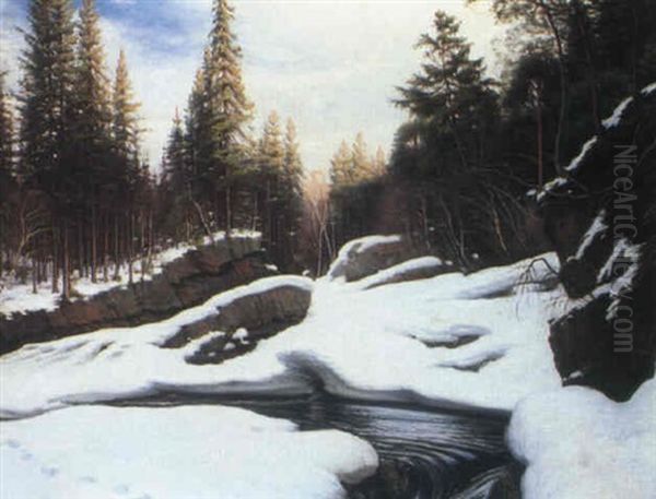 Footsteps In The Snow Oil Painting by Sigvard Hansen