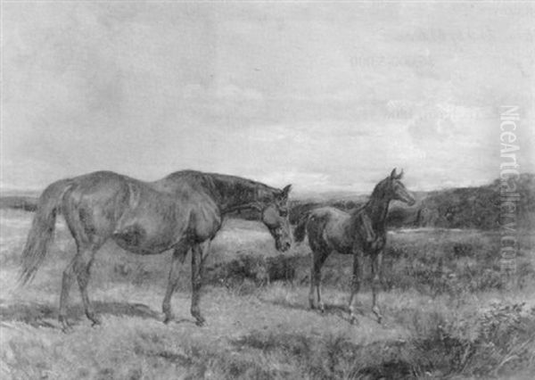 Mare And Foal Oil Painting by Heywood Hardy