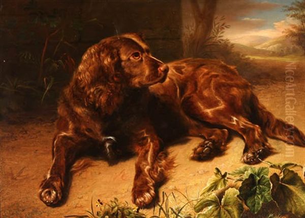 Spaniel Resting In A Forest Oil Painting by Jeremiah Pearson Hardy