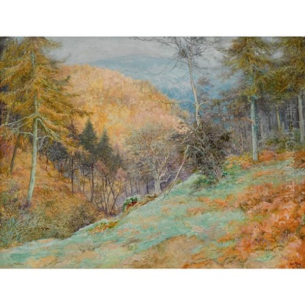 Radnor Forest Oil Painting by Edward Steel Harper