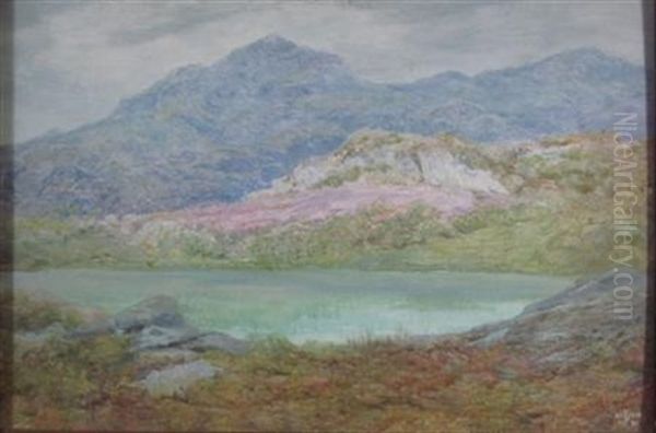 A Mountain Tarn, Inverness-shire Oil Painting by Edward Steel Harper