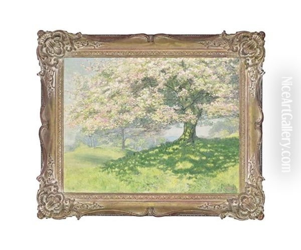 Cherry Blossom Oil Painting by Edward Steel Harper