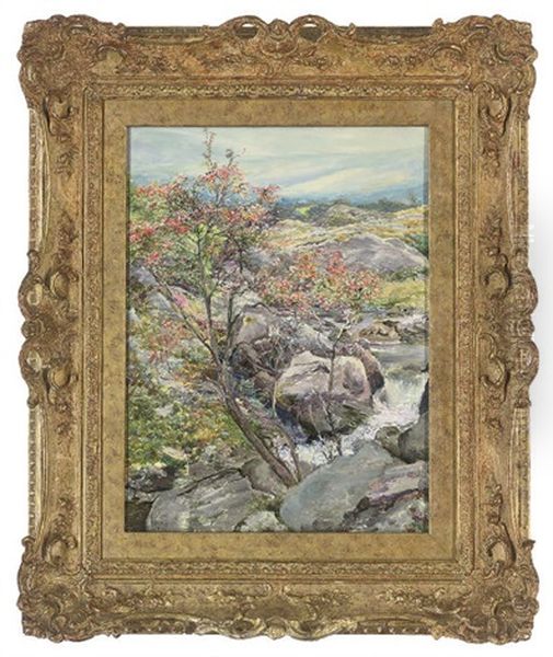 A Rowan Tree, Nantcol, Llanbedr Oil Painting by Edward Steel Harper