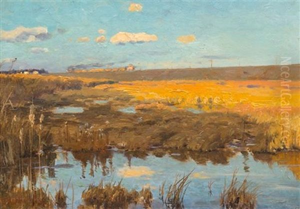 Train In The Marshes, 1893 Oil Painting by Hermann Hartwich