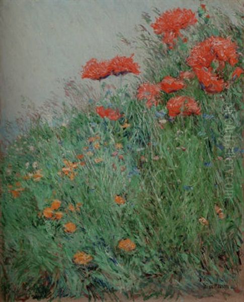 Poppies, Appledore Oil Painting by Childe Hassam