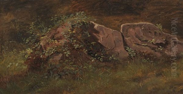 Naturstudie Oil Painting by Johann Heinrich Hasselhorst