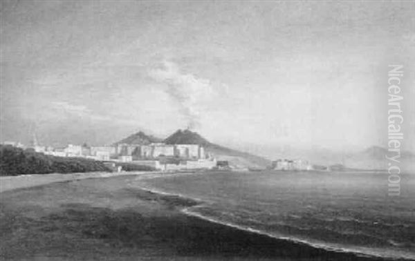 Neapel Mit Blick Auf Den Vesuv Oil Painting by Gustav Von Haugk