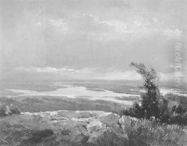 Blick Vom Hexenberg Bei Deutsch Altenburg Uber Die Donau Gegen Wien Oil Painting by Carl Haunold