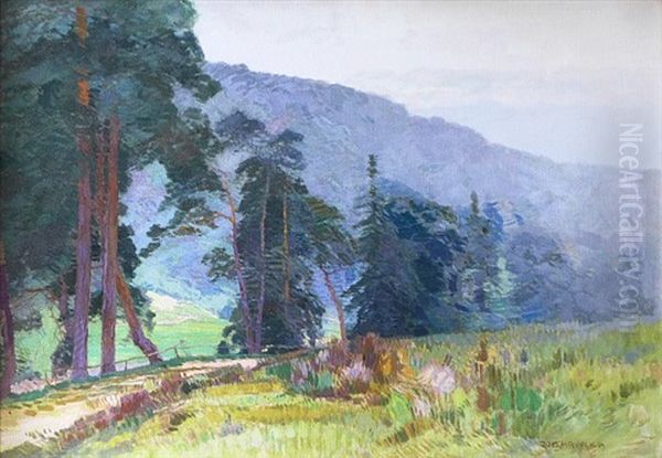 Krajina Oil Painting by Roman Havelka