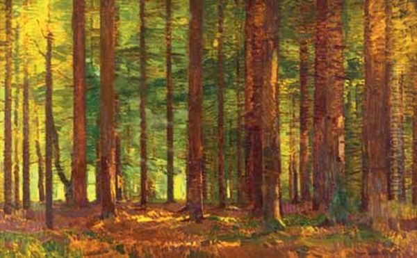 Vnitrek Lesa Oil Painting by Roman Havelka