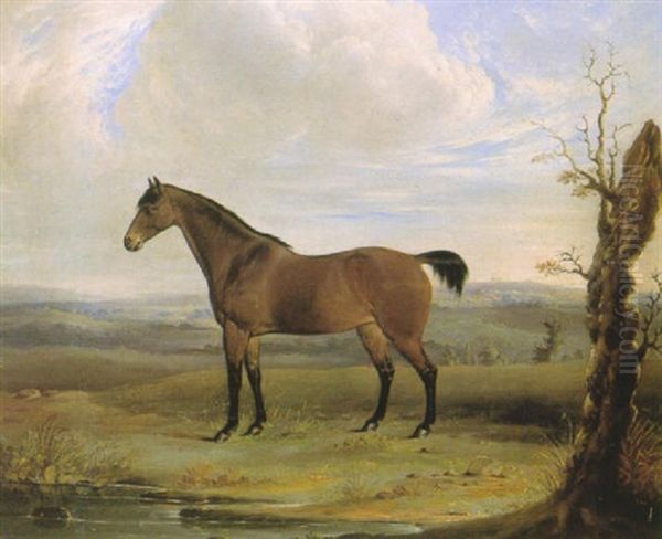 A Bay Horse In A Landscape Oil Painting by Edmund Havell Jnr.