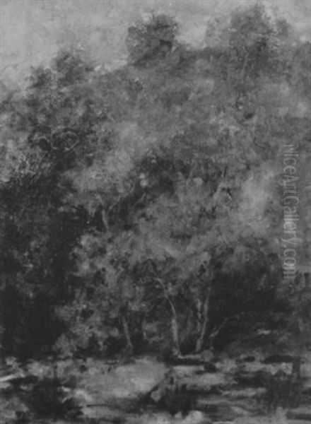 Deep Woods In Spring Greens Oil Painting by Charles Hawthorne