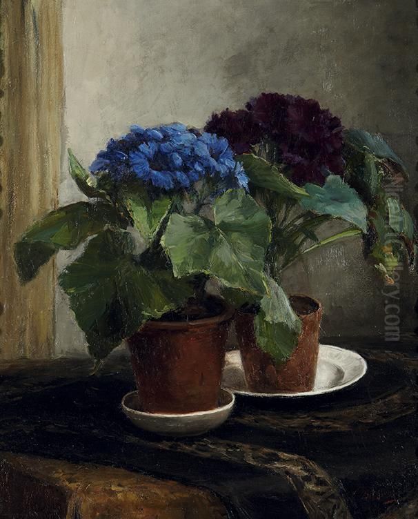 Cineraria's Oil Painting by Constantia Arnola Balwe