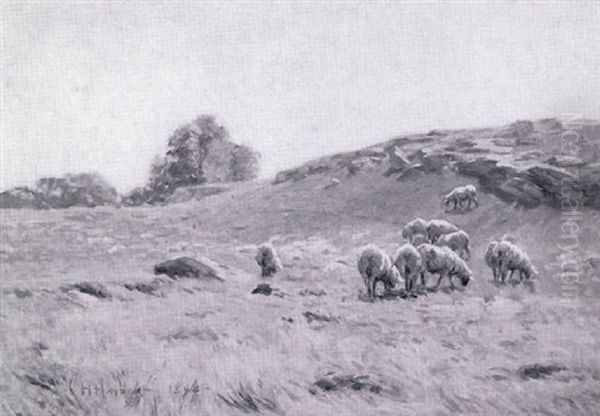 Sheep Pasture Oil Painting by Charles Henry Hayden