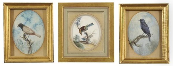 A Sparrow On A Mossy Branch; A Bird On A Mossy Branch; Untitled (3 Works) Oil Painting by William Hayes