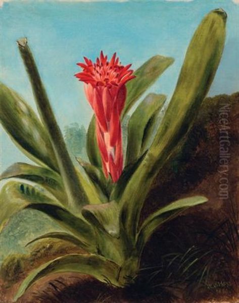 Red Bromeliad Oil Painting by William Jacob Hays