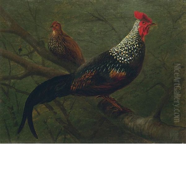 Pheasants Oil Painting by William Jacob Hays
