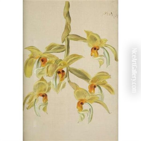 Branch Of Six Yellow Orchids Oil Painting by William Jacob Hays