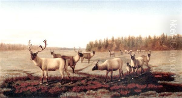Caribou Oil Painting by William Jacob Hays